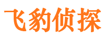 东明市私家侦探